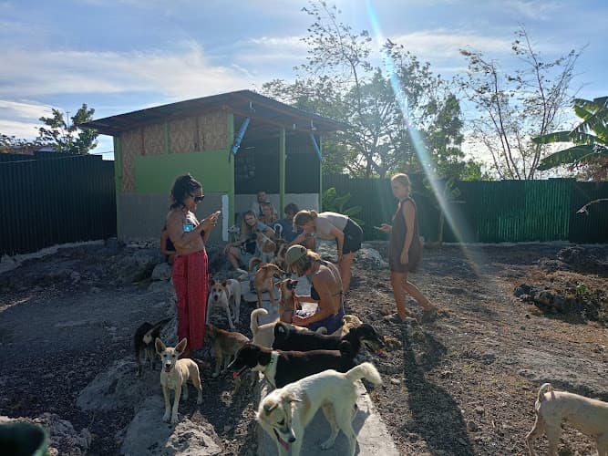 Moalboal Animal Welfare Outpost listing photo
