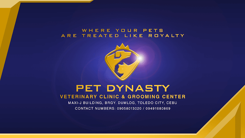 Pet Dynasty Veterinary Clinic listing photo