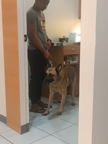 PetVet Central Vet Clinic Uptown listing photo