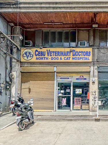 Cebu Veterinary Doctors - Mandaue Branch listing photo