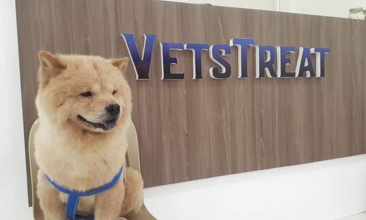 VetsTreat Animal Clinic listing photo