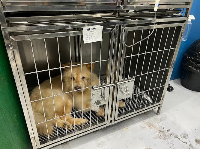 Petlink Canine Distemper Center listing photo
