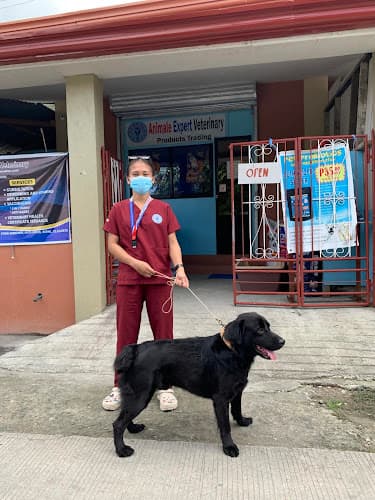 Animale Expert Veterinary Clinic listing photo