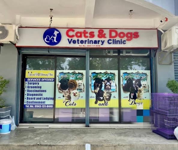 Cats & Dogs Veterinary Clinic listing photo