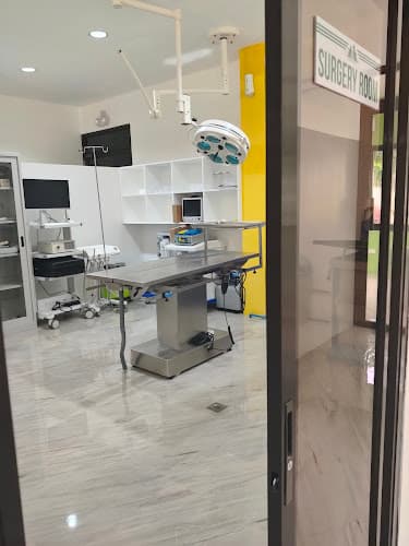 B-Vet Veterinary Clinic listing photo