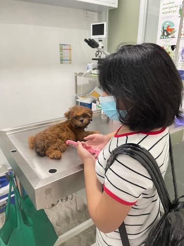 North Paws Vet Animal Clinic listing photo