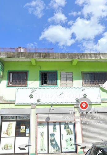 Nose to Tail Veterinary Clinic and Grooming Center listing photo