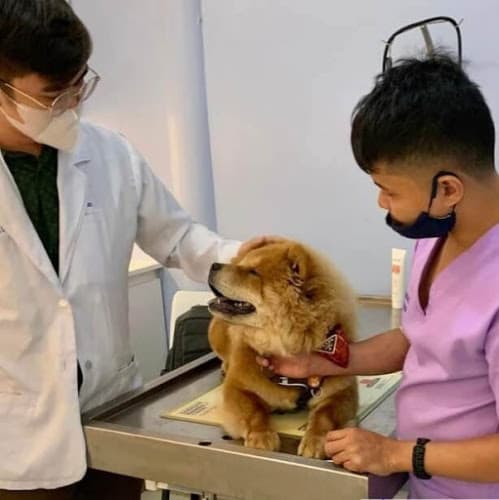 Dr. Jan Robert De Leon Veterinary Services listing photo