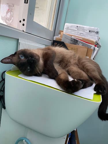 Pawsitive Point Veterinary Services and Supplies listing photo
