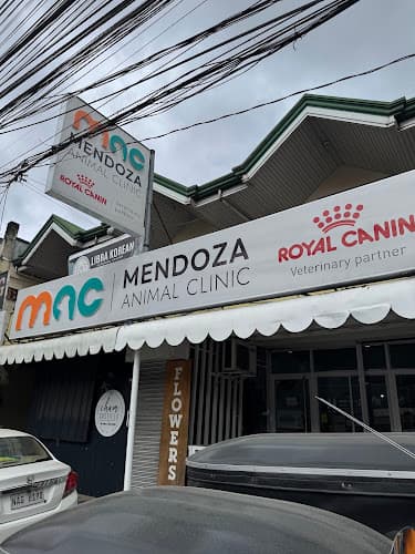 Mendoza Animal Clinic listing photo