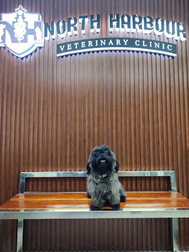 North Harbour Veterinary Clinic listing photo