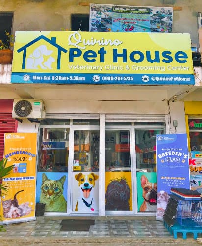 Quirino Pet House - Cabarroguis, Quirino listing photo