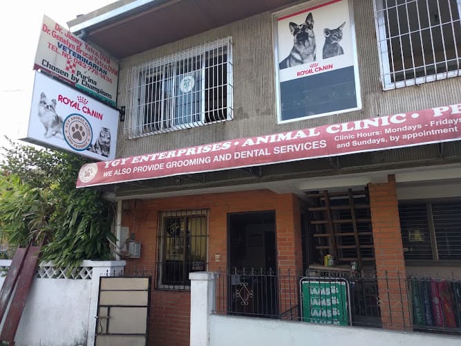 YGY Animal Clinic listing photo