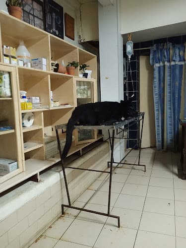 AJ Veterinary Clinic listing photo