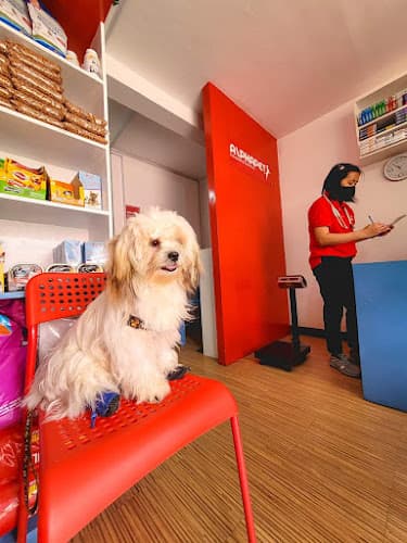 ALPHAPET PET HEALTH & ESSENTIALS listing photo