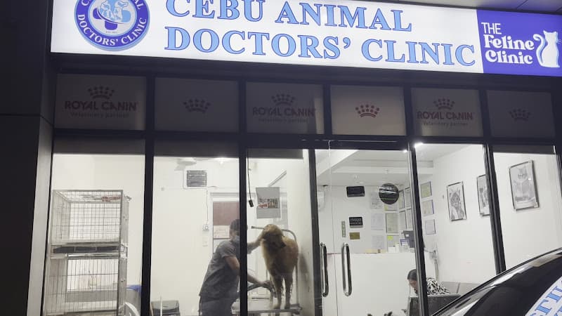 Cebu Animal Doctor's - The Feline Clinic listing photo