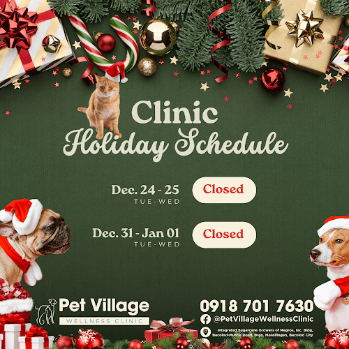 Pet Village WELLNESS CLINIC listing photo