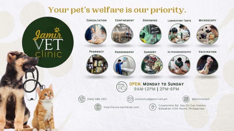 Jamir Veterinary Clinic listing photo