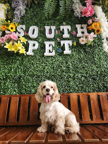 SOUTH PET VETERINARY CLINIC listing photo