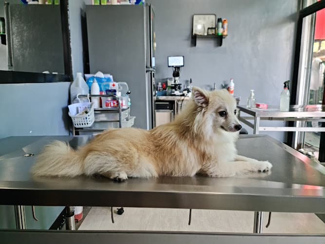 Petlon Exotic and Companion Clinic listing photo