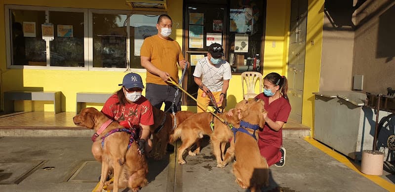 Horseshoe Pet Clinic listing photo
