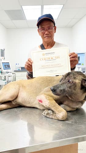 GOLDEN PAWS PET CARE SERVICES listing photo