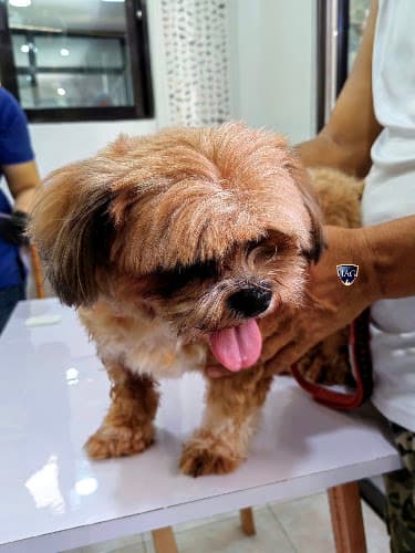 J.A.G VETERINARY SERVICES listing photo