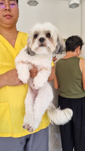 Animal's Choice Veterinary Clinic listing photo