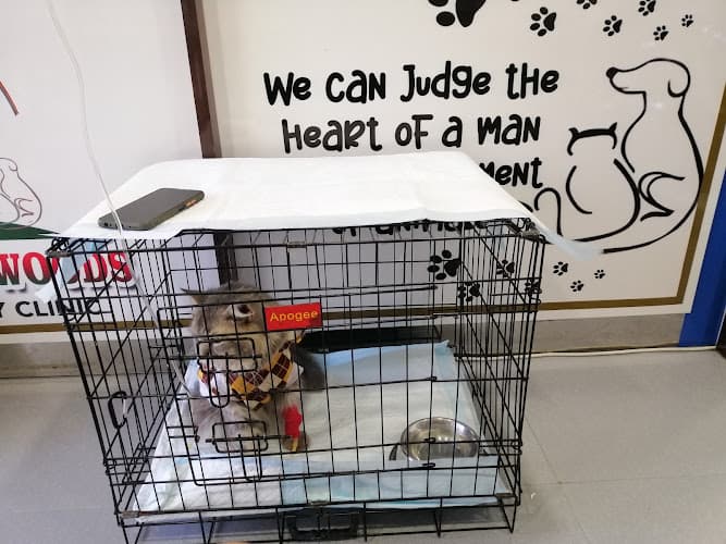 Bretton Woods Veterinary Clinic & Distemper Recovery Center listing photo