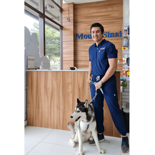 Mount Sinai Veterinary Practice QC listing photo