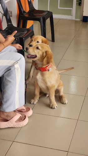 Pet Professional Veterinary Clinic listing photo
