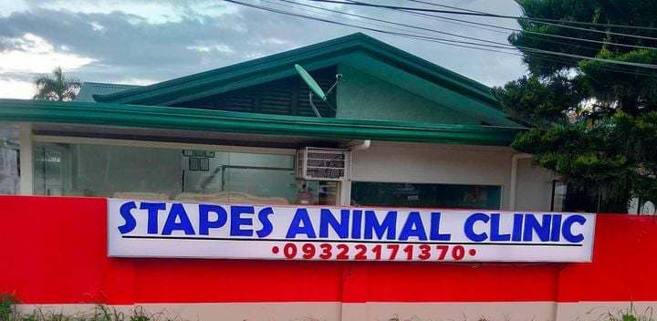 Stapes Animal Clinic listing photo