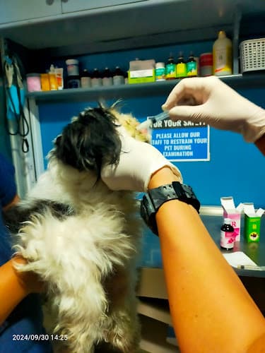 VNP Veterinary Clinic and Grooming Services listing photo