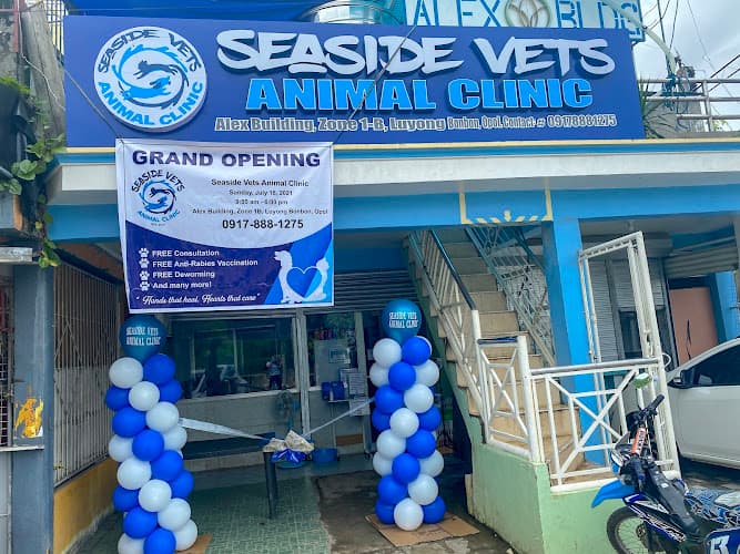 Seaside Vets Animal Clinic listing photo