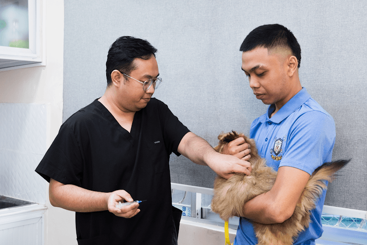 Pet Guild Veterinary Clinic and Grooming - Malanday Valenzuela City NCR listing photo