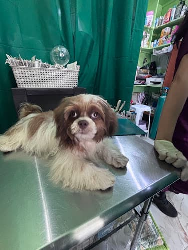 FURRPET VETERINARY CLINIC - ZARAGOZA listing photo