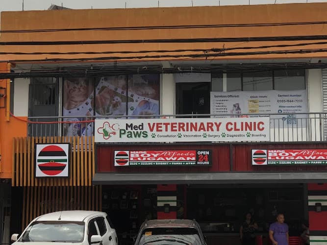 MedPaws Veterinary Clinic and Grooming Services - Project 8 listing photo
