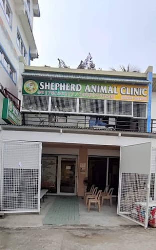 Shepherd Animal Clinic Muzon listing photo