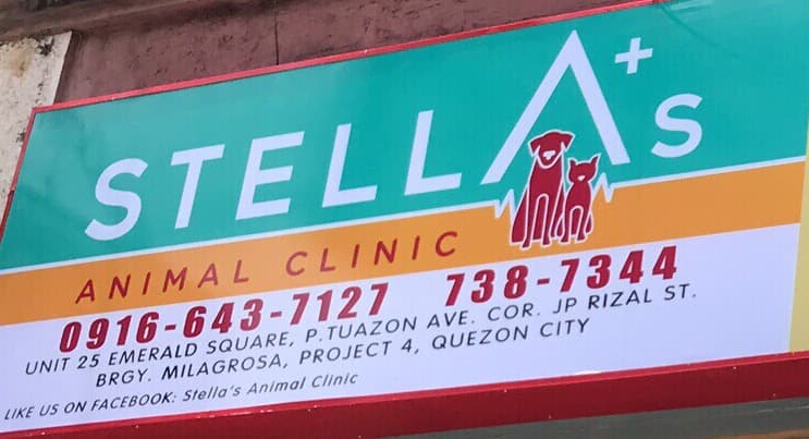 Stella’s Animal Clinic listing photo