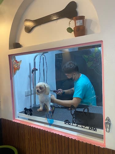 Vetzone Animal Clinic listing photo