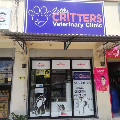 Little Critters Veterinary Clinic listing photo
