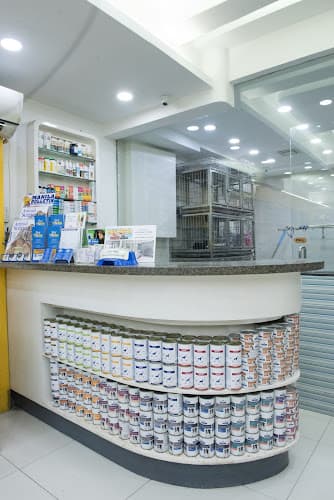 Pet House Veterinary Hospital for Dogs - Maginhawa listing photo
