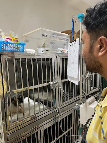 Vitapets Animal Clinic And Pet Supplies listing photo