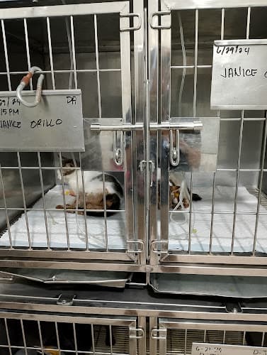 Congressional Animal Clinic listing photo