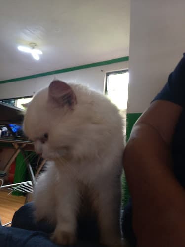 XYZ Veterinary Clinic listing photo