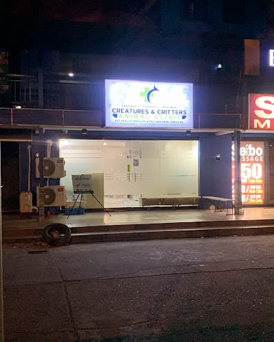 Creatures and Critters Animal Clinic listing photo