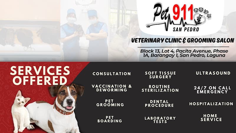 PET 911 VETERINARY CLINIC AND GROOMING SALON - PACITA, LAGUNA listing photo