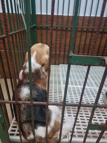 Jacobe Animal Clinic listing photo