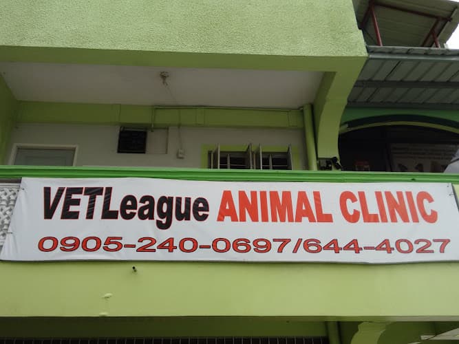 Vetleague listing photo