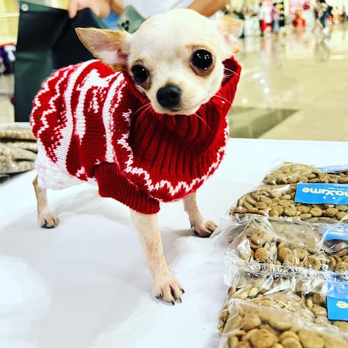 Pets 2GO Veterinary Clinic Bulua listing photo